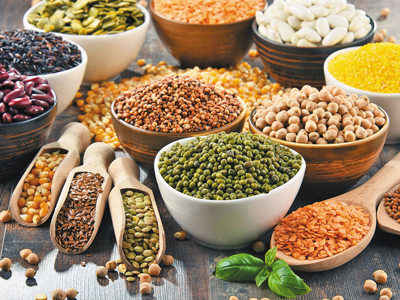 مزارع حبوبات،انواع لوبیا،نخود،بافلا،عدس و محصولات مشابه