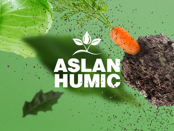 استعلام قیمت