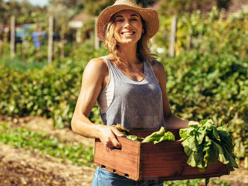 کاربردهای اسید هیومیک در کشاورزی